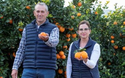 Pedralba entregará naranjas bajo la marca  «Cultivamos el sabor®» a los corredores de la Volta a Peu